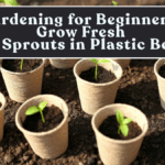 Gardening for Beginners: Grow Fresh Bean Sprouts in Plastic Bottles