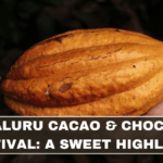 Bengaluru Cacao & Chocolate Festival: A Sweet Highlight