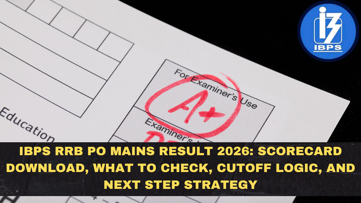 IBPS RRB PO Mains Result 2026: Scorecard Download, What to Check, Cutoff Logic, and Next Step Strategy