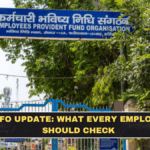 EPFO Update: What Every Employee Should Check