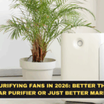 Air-Purifying Fans in 2026: Better Than a Regular Purifier or Just Better Marketing