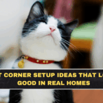 Cat Corner Setup Ideas That Look Good in Real Homes