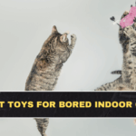 Best Toys for Bored Indoor Cats: Check Now