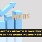 India Factory Growth Slows: Why Rising Costs Are Worrying Businesses